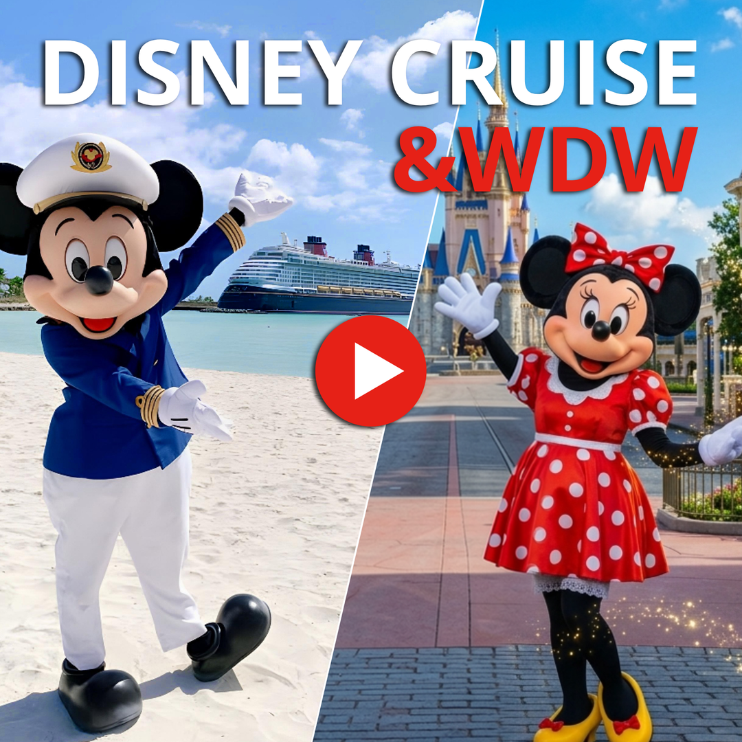 Disney World & Disney Cruise Line Combination Video
