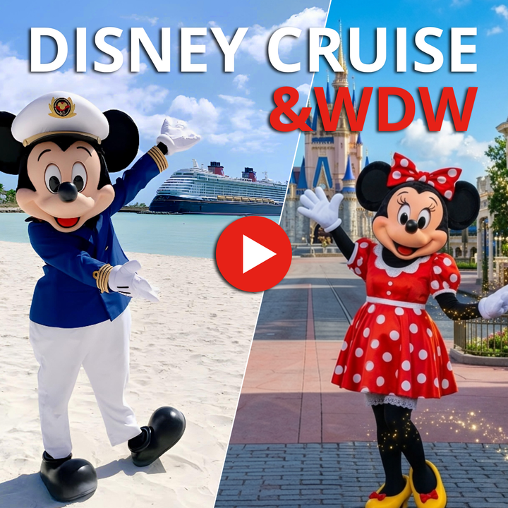 Disney World & Disney Cruise Line Combination Video