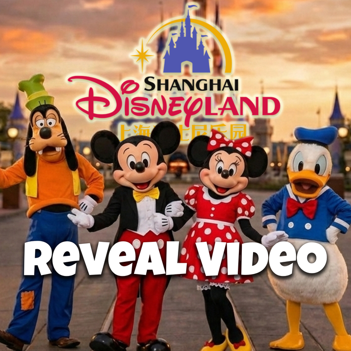 Disneyland Shanghai Vacation Surprise Video - Custom Digital Announcement